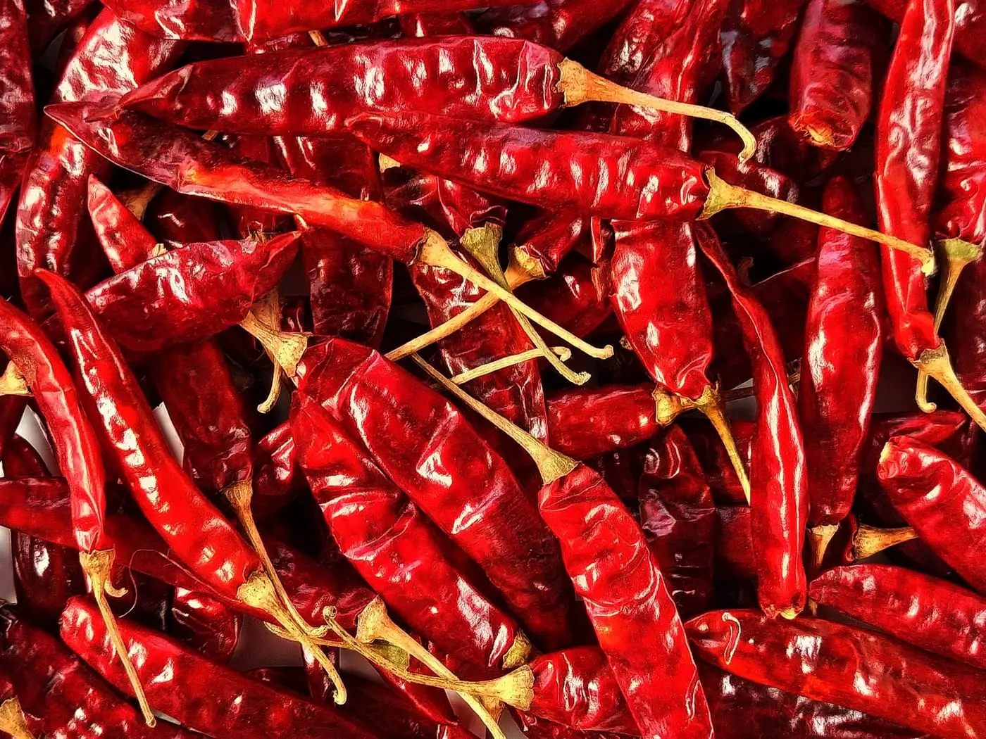 Peperoncino Byadgi — 1