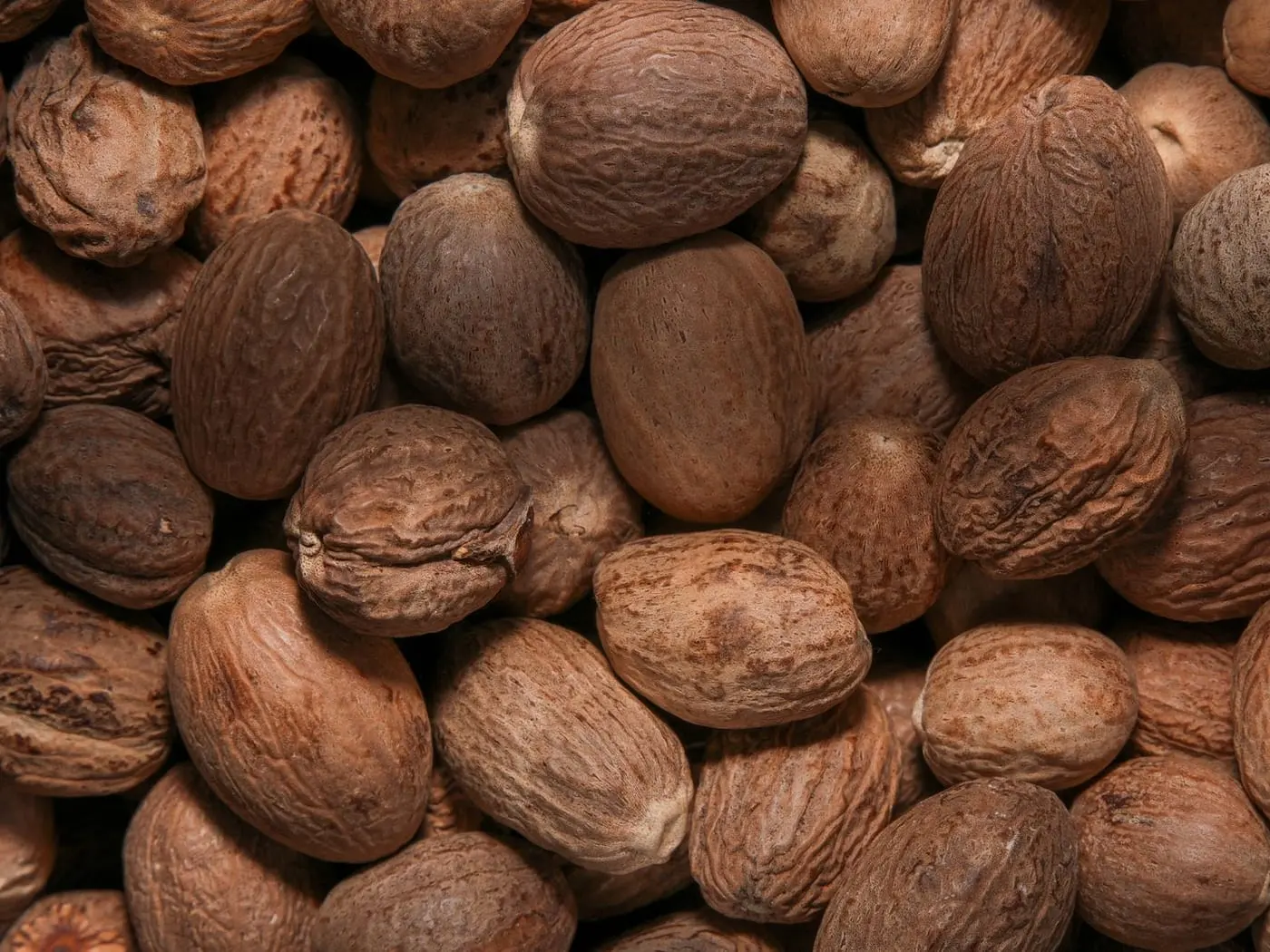 Nhục Đậu Khấu (Nguyên) — 1